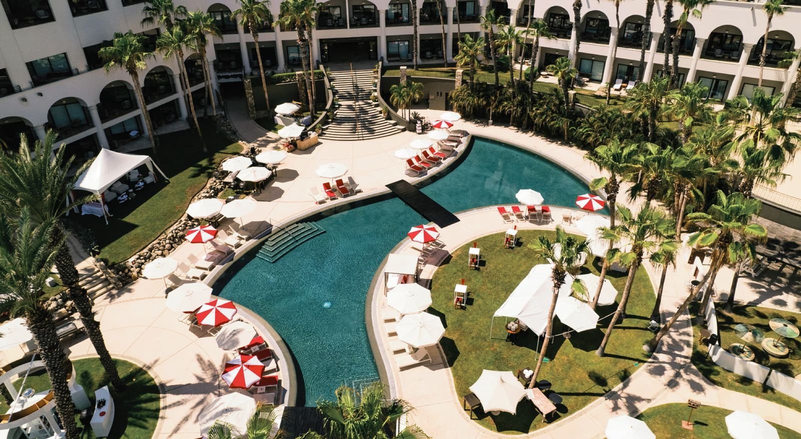 Dolphin Pool Lawn