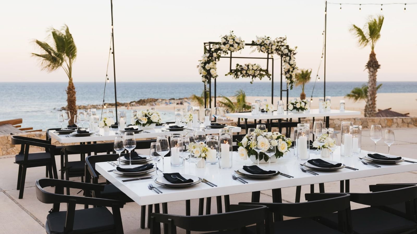 Whale Watching Terrace