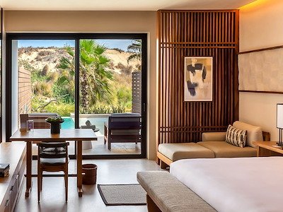 Deluxe Room Swim Up King