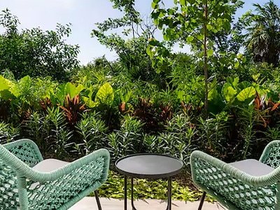 Nature View Room - King