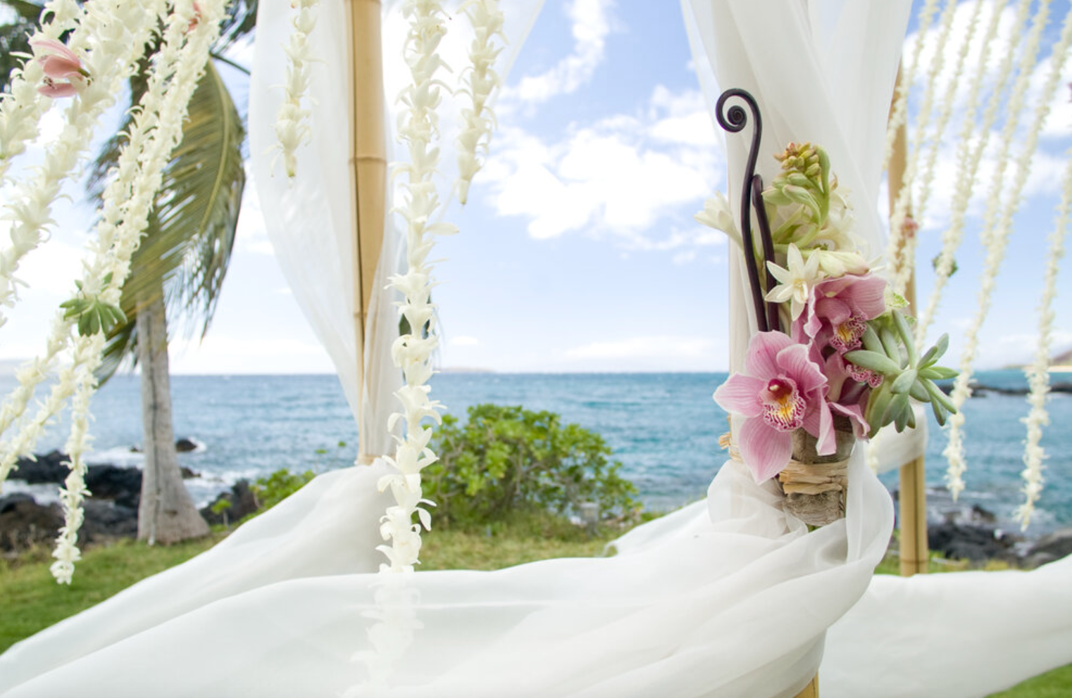 Private Beach and Garden