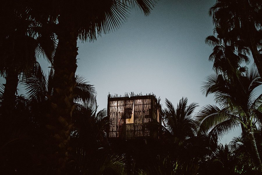 Tree House