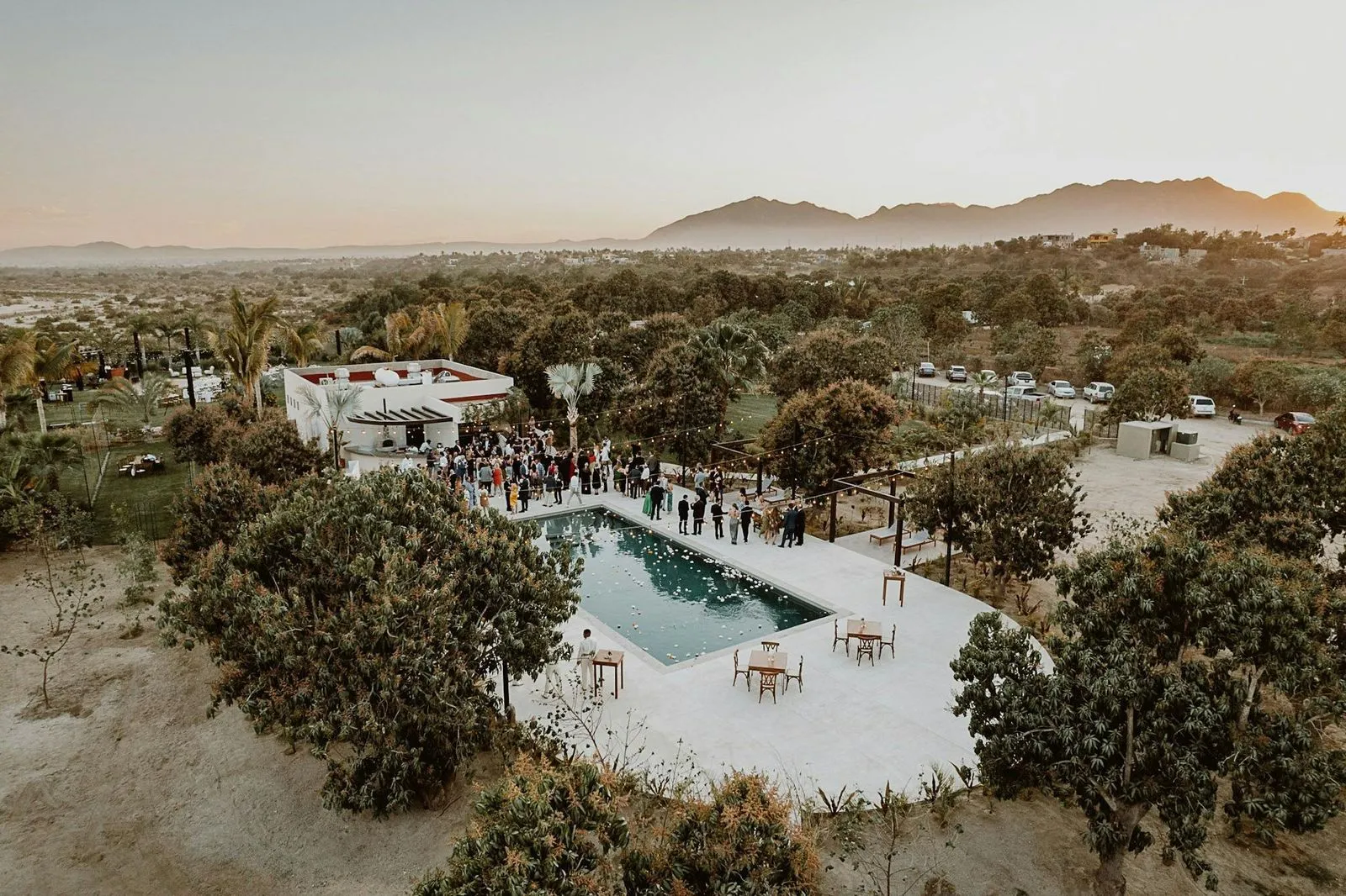 The Pool