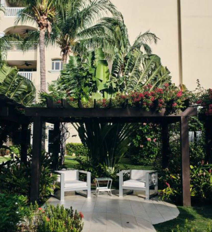 Garden Pergola